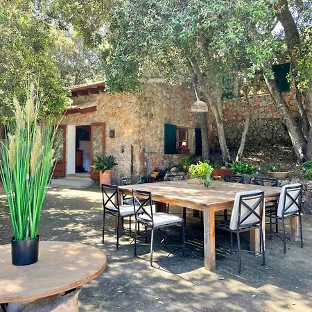 Fabulous Rustic Set On Mountain With Unique Views