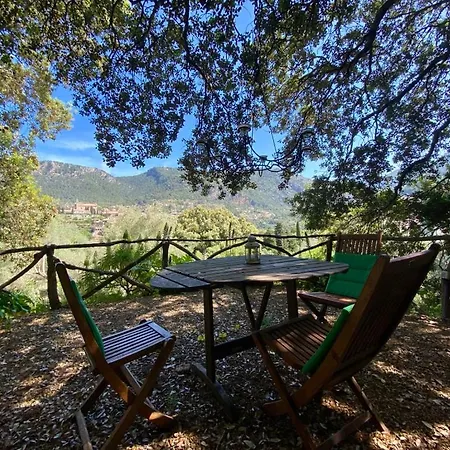 Fabulous Rustic Set On Mountain With Unique Views Villa Valldemossa (Mallorca)