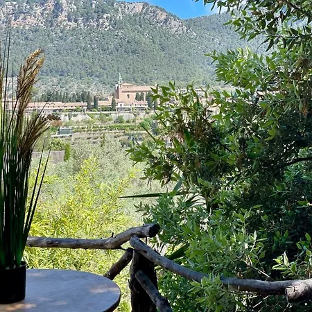 Fabulous Rustic Set On Mountain With Unique Views *